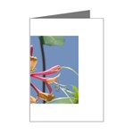 texture-4rs0 Mini Greeting Card