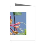 texture-4rs0 Mini Greeting Cards (Pkg of 8)