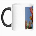 texture-4rs0 Morph Mug
