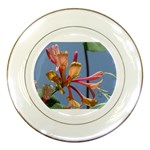 texture-4rs0 Porcelain Plate