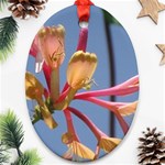 texture-4rs0 Oval Ornament (Two Sides)