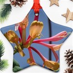 texture-4rs0 Star Ornament (Two Sides)