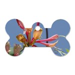 texture-4rs0 Dog Tag Bone (Two Sides)
