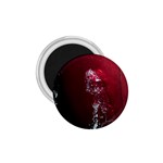 watermark2 1.75  Magnet