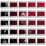 watermark2 9mm Italian Charm (25 pack)