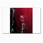 watermark2 Postcard 4  x 6 