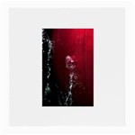 watermark2 Glasses Cloth (Medium, Two Sides)