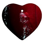 watermark2 Heart Ornament (Two Sides)
