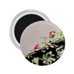 watermark2 2.25  Magnet