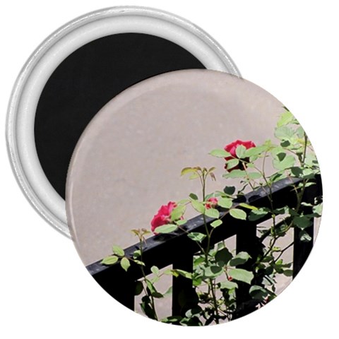 watermark2 3  Magnet from ArtsNow.com Front