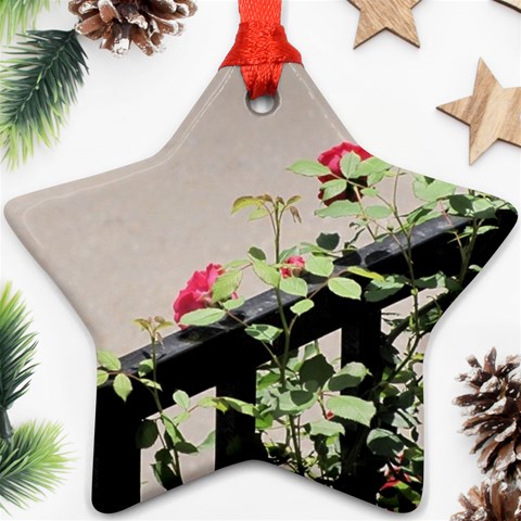 watermark2 Ornament (Star) from ArtsNow.com Front