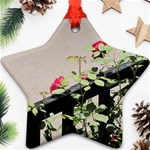 watermark2 Ornament (Star)