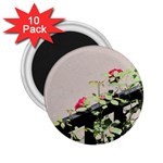 watermark2 2.25  Magnet (10 pack)