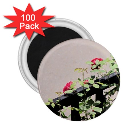 watermark2 2.25  Magnet (100 pack)  from ArtsNow.com Front