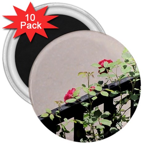 watermark2 3  Magnet (10 pack) from ArtsNow.com Front