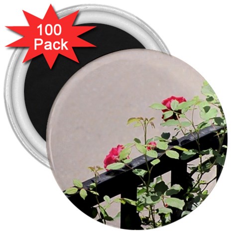 watermark2 3  Magnet (100 pack) from ArtsNow.com Front