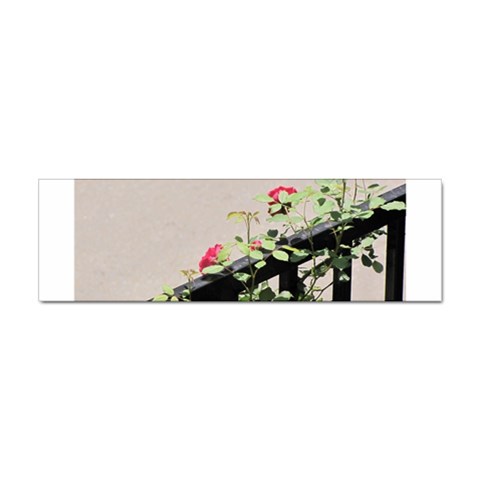 watermark2 Sticker (Bumper) from ArtsNow.com Front