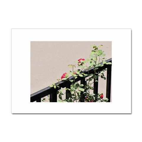 watermark2 Sticker A4 (100 pack) from ArtsNow.com Front