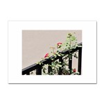 watermark2 Sticker A4 (100 pack)