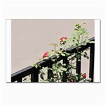 watermark2 Postcard 4 x 6  (Pkg of 10)