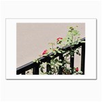 watermark2 Postcard 5  x 7 