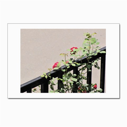 watermark2 Postcards 5  x 7  (Pkg of 10) from ArtsNow.com Front