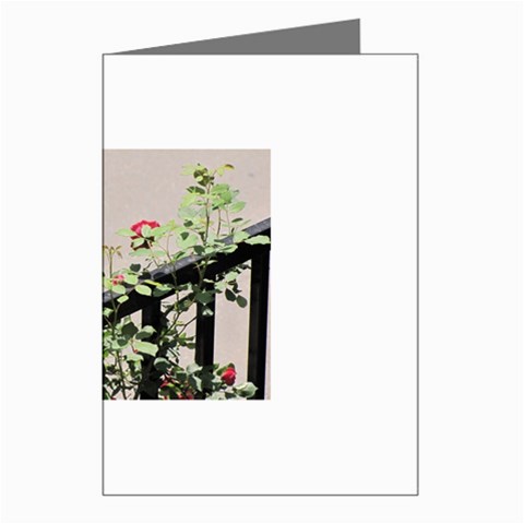 watermark2 Greeting Cards (Pkg of 8) from ArtsNow.com Left