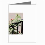 watermark2 Greeting Cards (Pkg of 8)