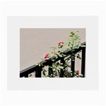 watermark2 Glasses Cloth (Small)