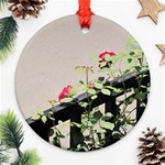 watermark2 Round Ornament (Two Sides)