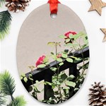 watermark2 Oval Ornament (Two Sides)