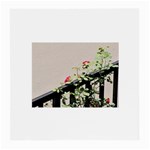 watermark2 Glasses Cloth (Medium)