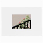 watermark2 Glasses Cloth (Large, Two Sides)