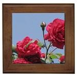 q Framed Tile