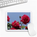 q Small Mousepad