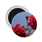 q 2.25  Magnet