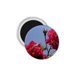q 1.75  Magnet