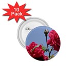 q 1.75  Button (10 pack) 