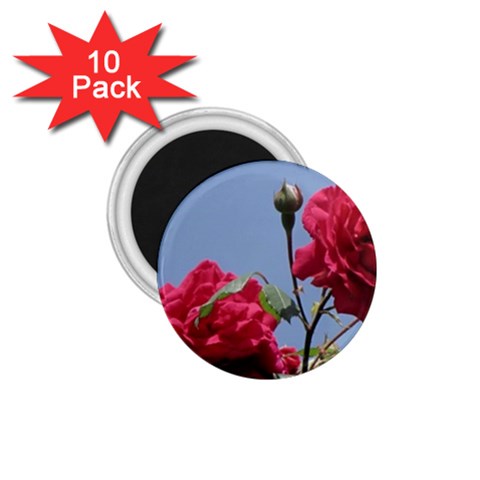 q 1.75  Magnet (10 pack)  from ArtsNow.com Front