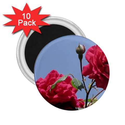 q 2.25  Magnet (10 pack) from ArtsNow.com Front
