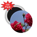 q 2.25  Magnet (100 pack) 