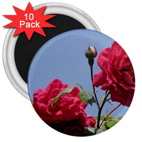 q 3  Magnet (10 pack) from ArtsNow.com Front