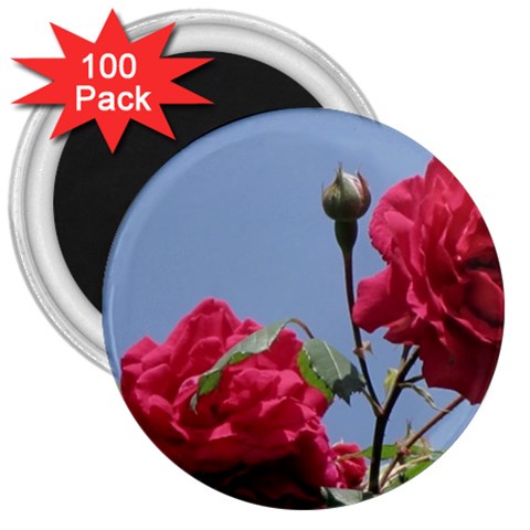 q 3  Magnet (100 pack) from ArtsNow.com Front