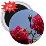 q 3  Magnet (100 pack)