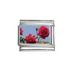 q Italian Charm (9mm)
