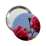 q 2.25  Handbag Mirror