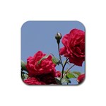q Rubber Coaster (Square)