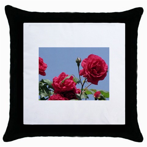 q Throw Pillow Case (Black) from ArtsNow.com Front