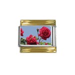 q Gold Trim Italian Charm (9mm)