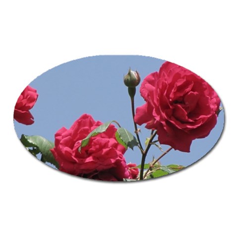 q Magnet (Oval) from ArtsNow.com Front